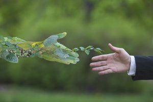DYMO: por un futuro más verde